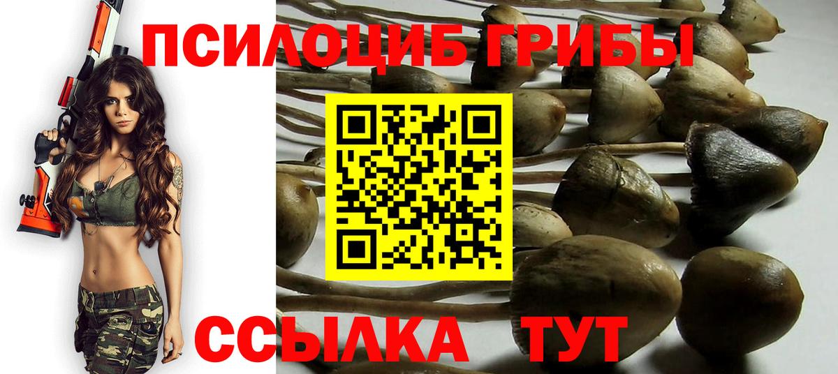 Псилоцибиновые грибы MAGIC MUSHROOMS  Галлюциногенные грибы ЛСД  Черкесск  Вход с VPN 